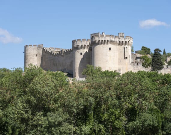 Chateau Saint-André, Villeneuve-lès-Avignon, France.
